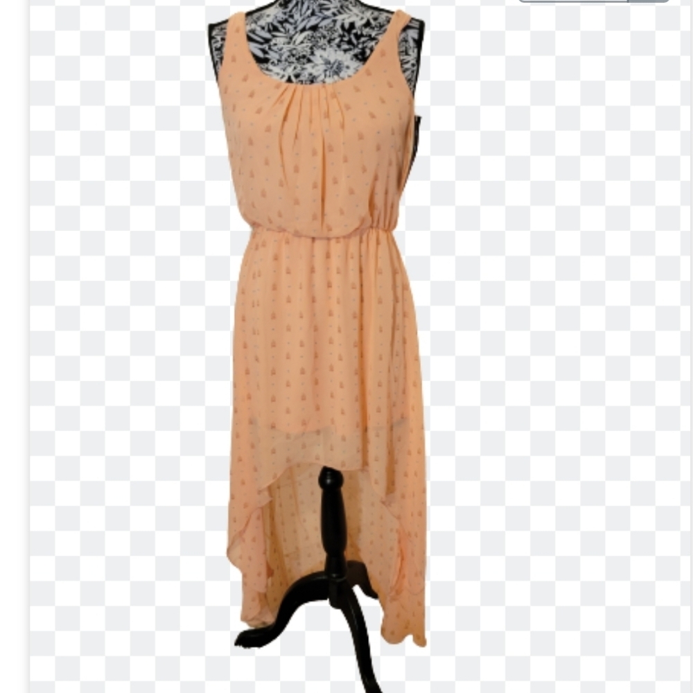 Bird cage novelty print high low  summer spring sun dress